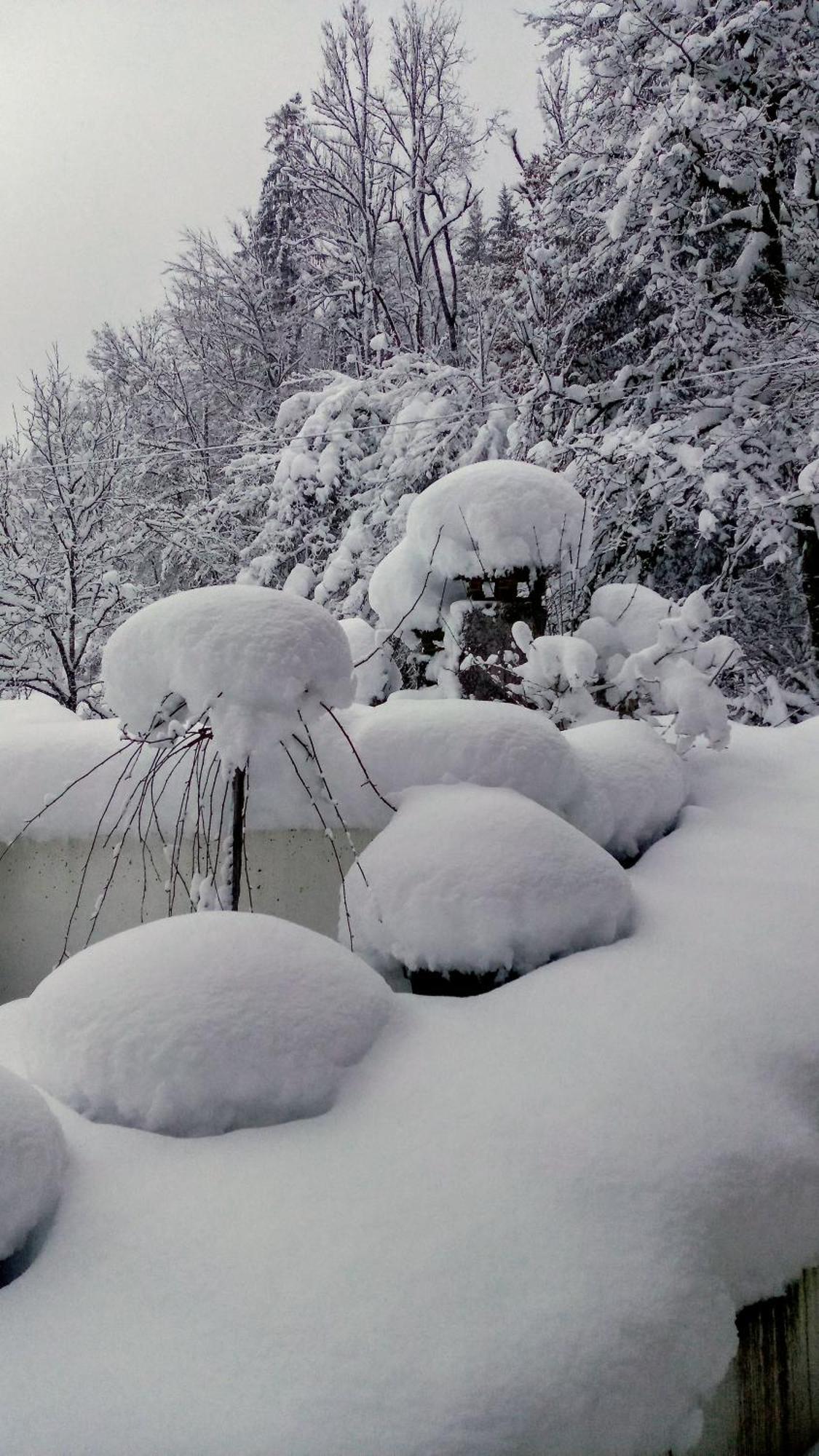 Calme Et Serenite - Etablissement Classe Sixt 部屋 写真